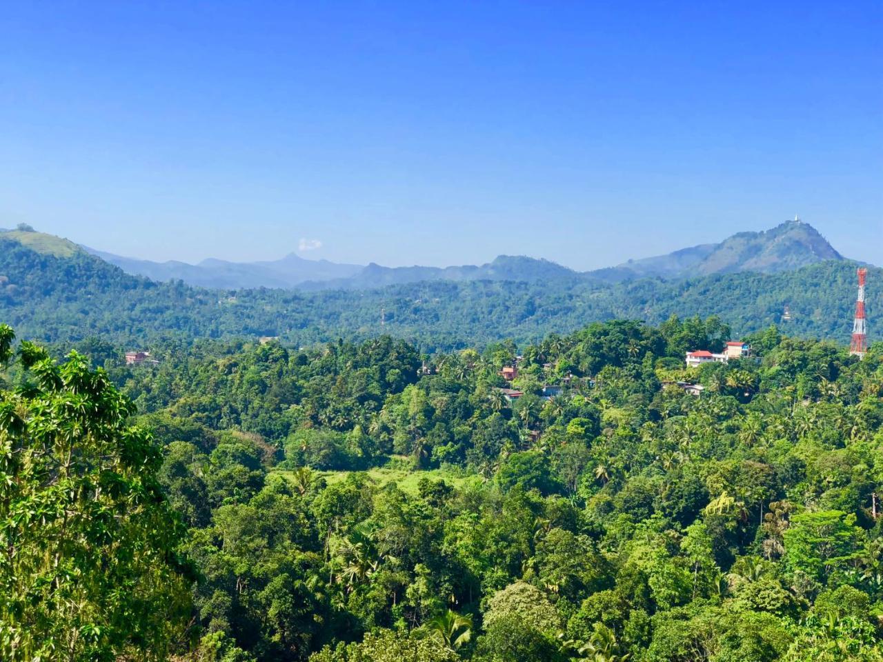 Elegant Hotel Kandy Eksteriør bilde